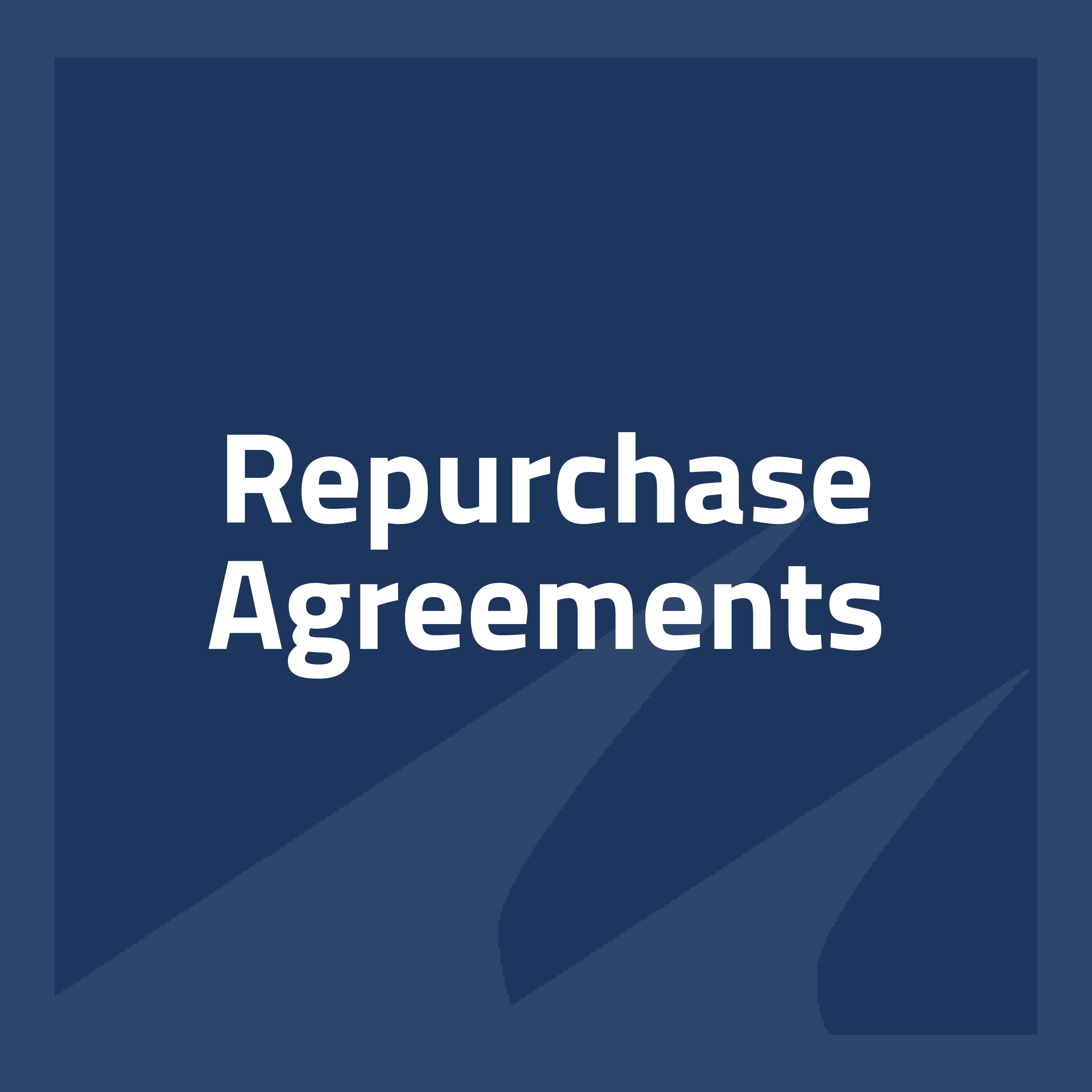 RepurchaseAgreements-2